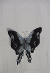 SV1432   -   Scarves Butterfly - White